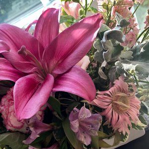 Meet your Posher, Anna